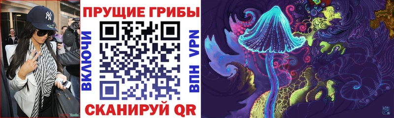купить наркотик  Андреаполь  Галлюциногенные грибы Psilocybine cubensis 