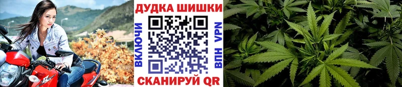Шишки марихуана план  Андреаполь 